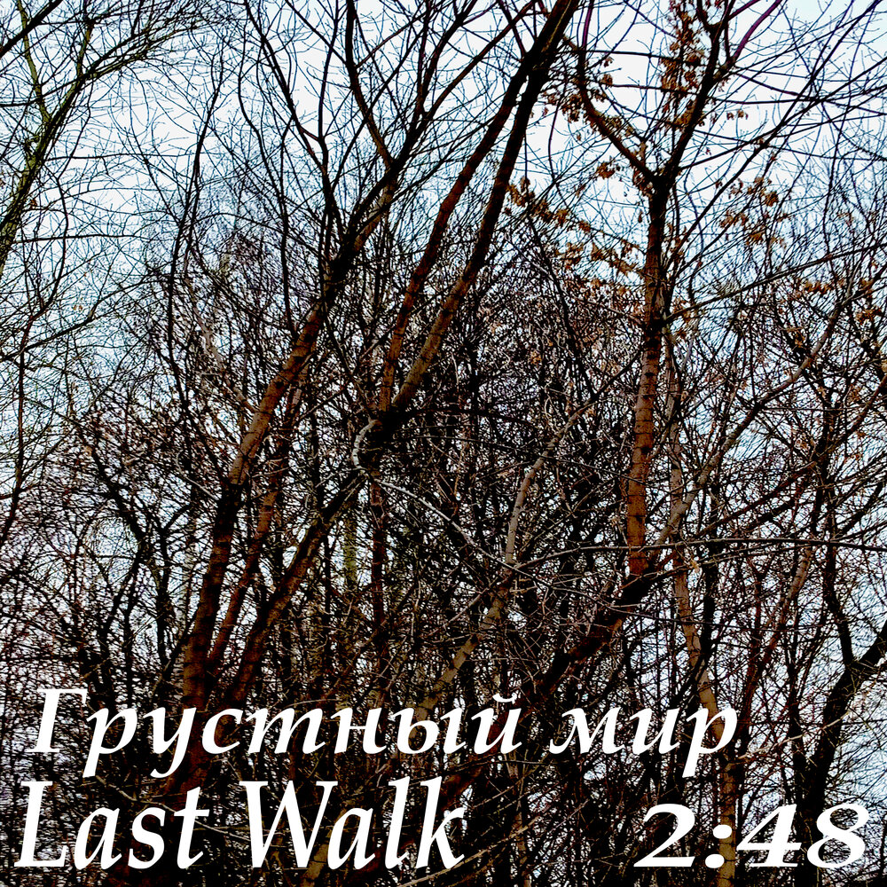 Last walk. Last walk. Blessthefall-you wear a crown but you're no king. Promised ones blessthefall. Last walk.