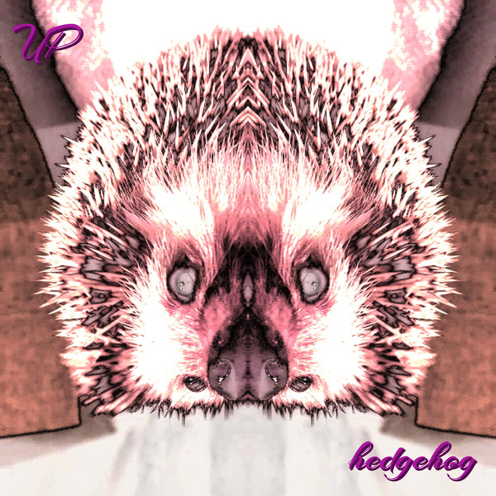 Hedgehogs песни. Hedgehog исполнитель. Hedgehog Song for Kids. Listening Hedgehog. This World Hedgehog слушать.