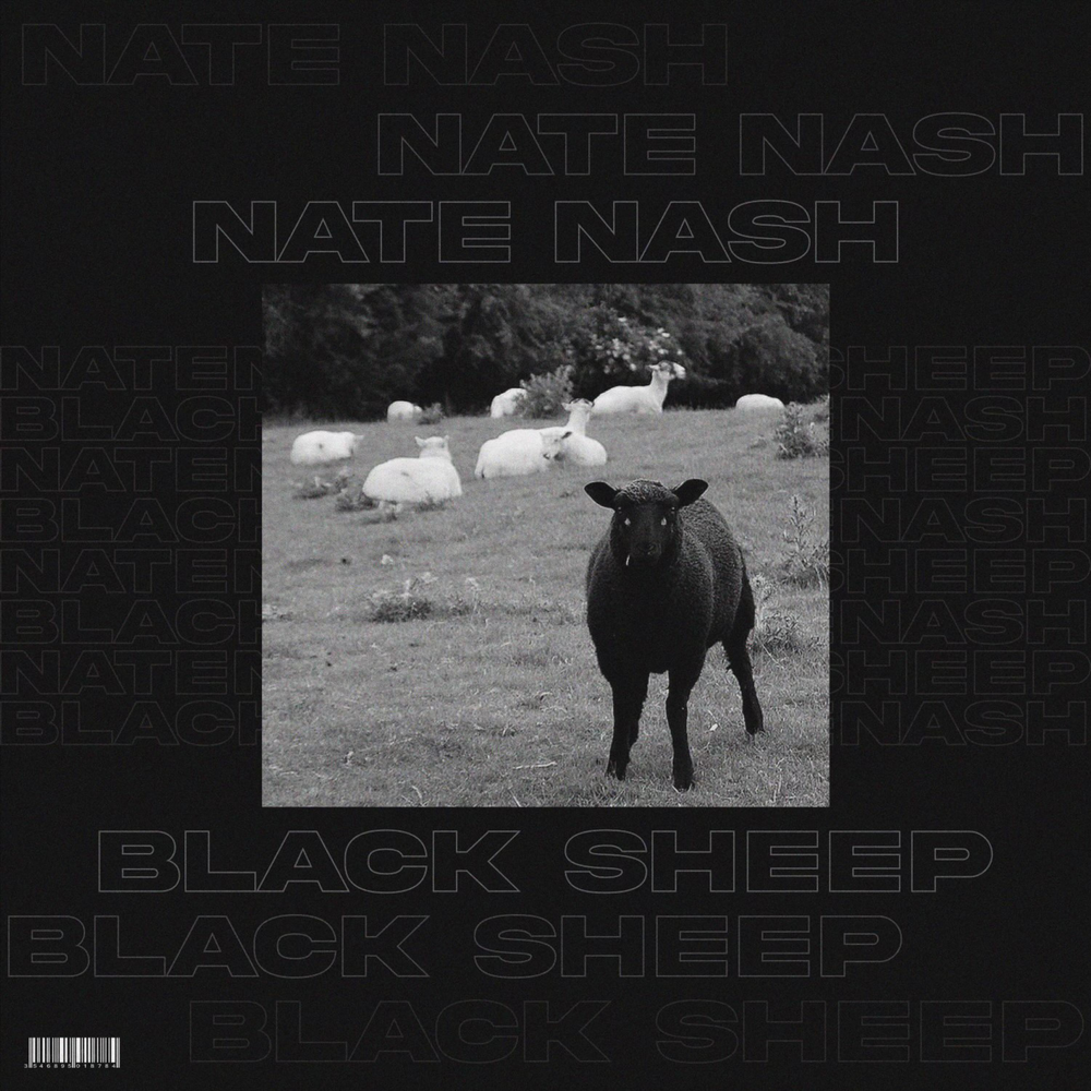 One sheep two. Black sheep песня. Ba ba ba black sheep. Black sheep. Black sheep comic.