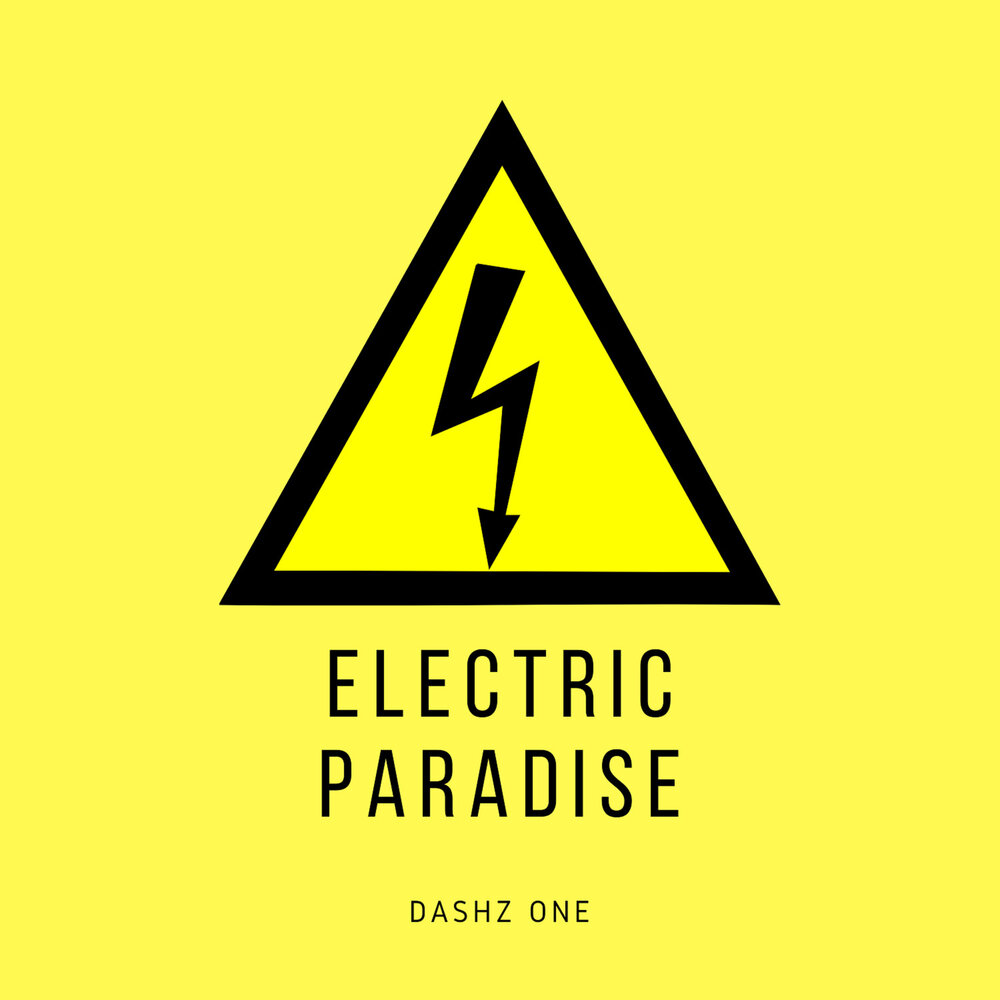 Electronic paradise