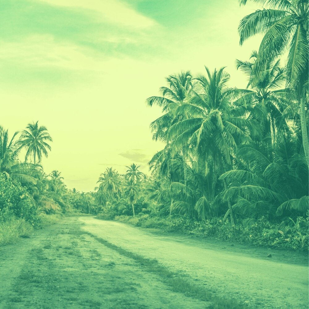 Tropical album cover. Багамы песня. Альбом песни с тропиками. Tropic vibes. Песня про тропики.
