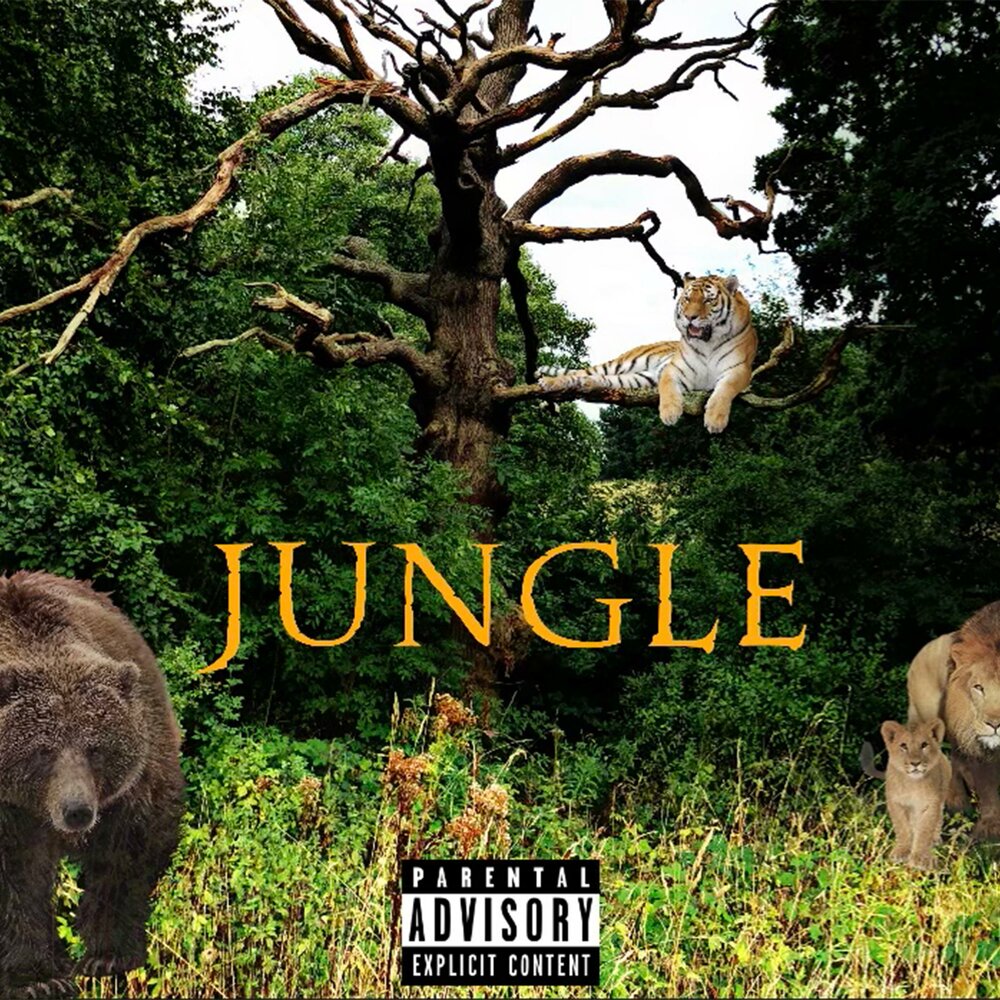 Jungle слушать