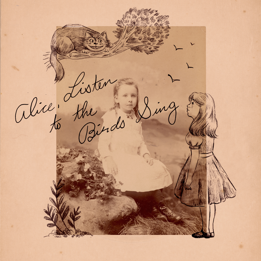 Listen alice. Listen to Birds singing.