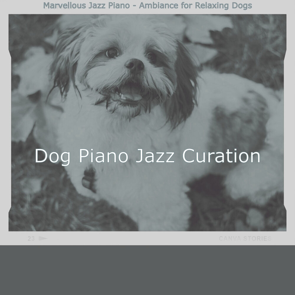 Dog piano