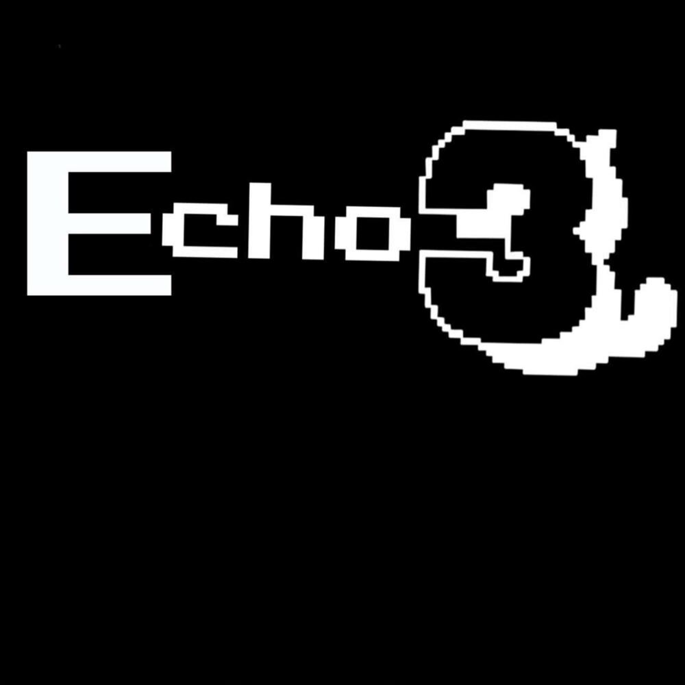 Эхо 3. Эхо 3 в хорошем качестве. Echoes 3. Echo 3 2002. Echo 3 livre.