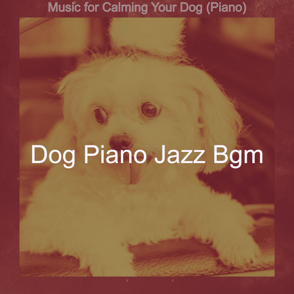 Dog piano