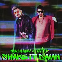 NECHAEV, TATAR - Shake It Damn