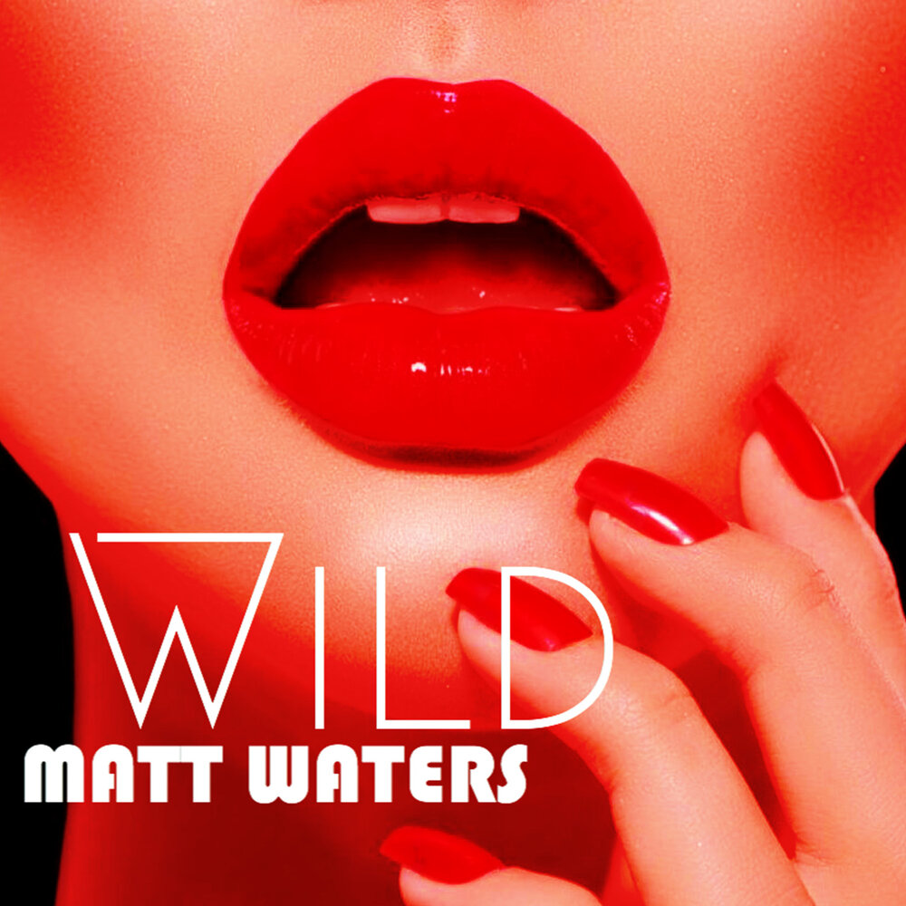 Wild song. Matthew Wilder album.