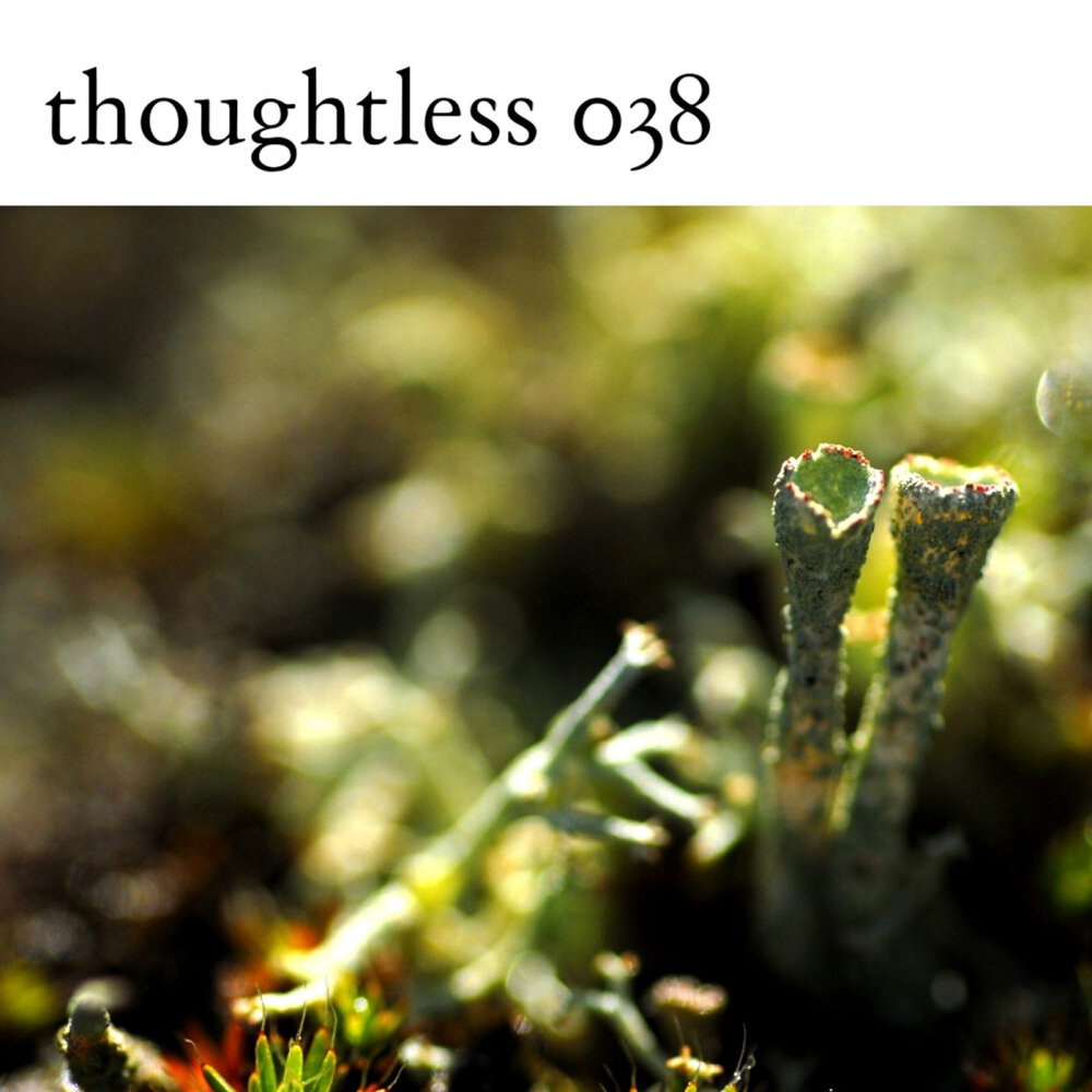 Thoughtless.