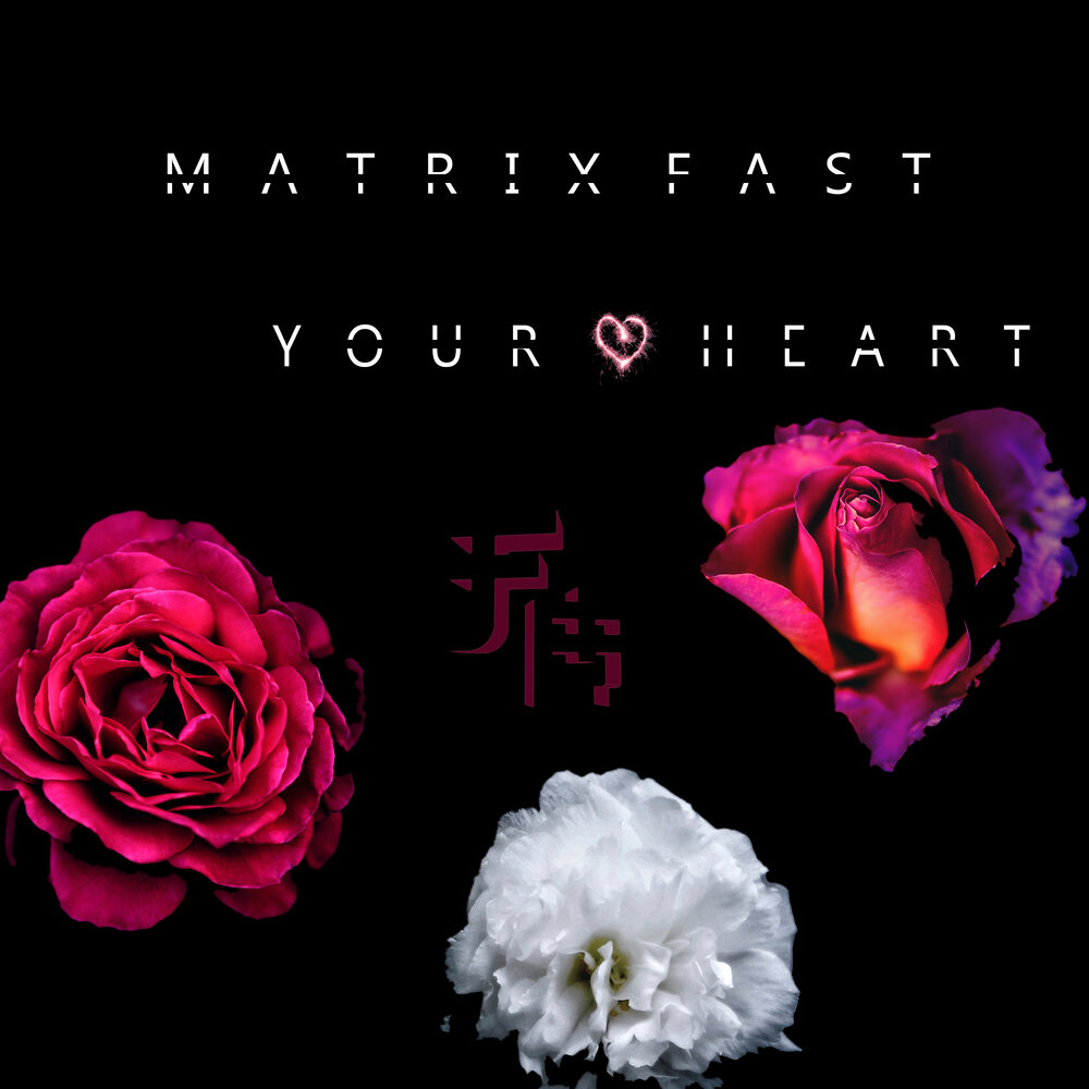 Matrix hearts