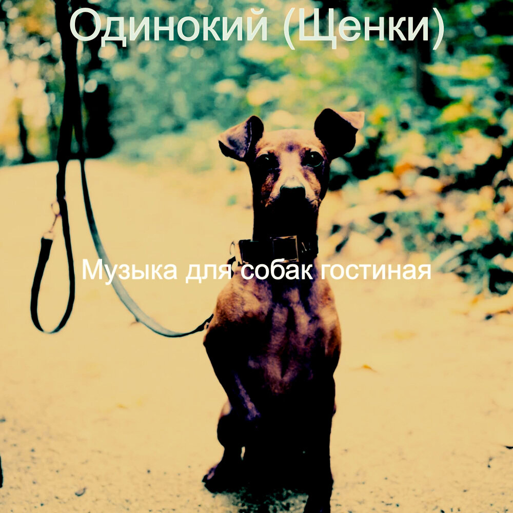 Включи песню dog. Собака музыка. Песня о собаке. Звук собаки. Звук собаки слушать.