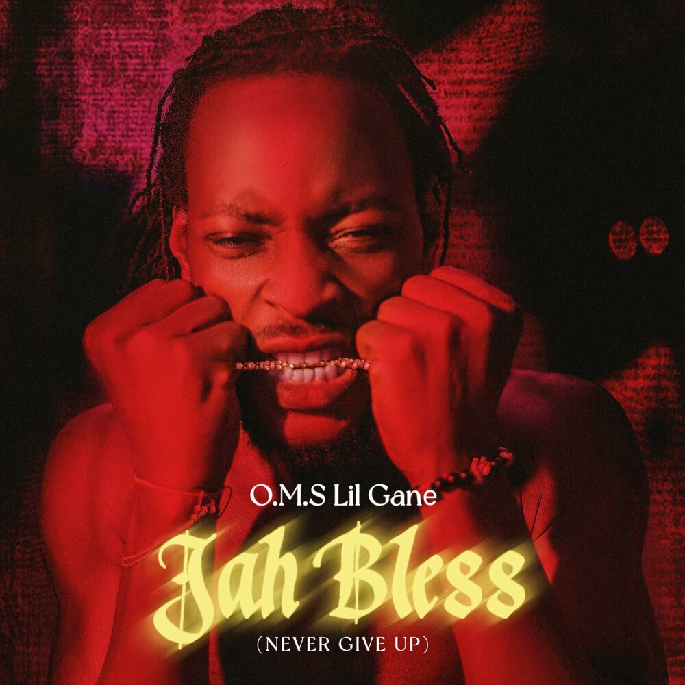 развивающий центр k's kids "зебра 28". ранние девочки. том брэди девушка. шакурова ландыш. зебра райан ks kids.