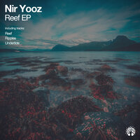 artist-cover