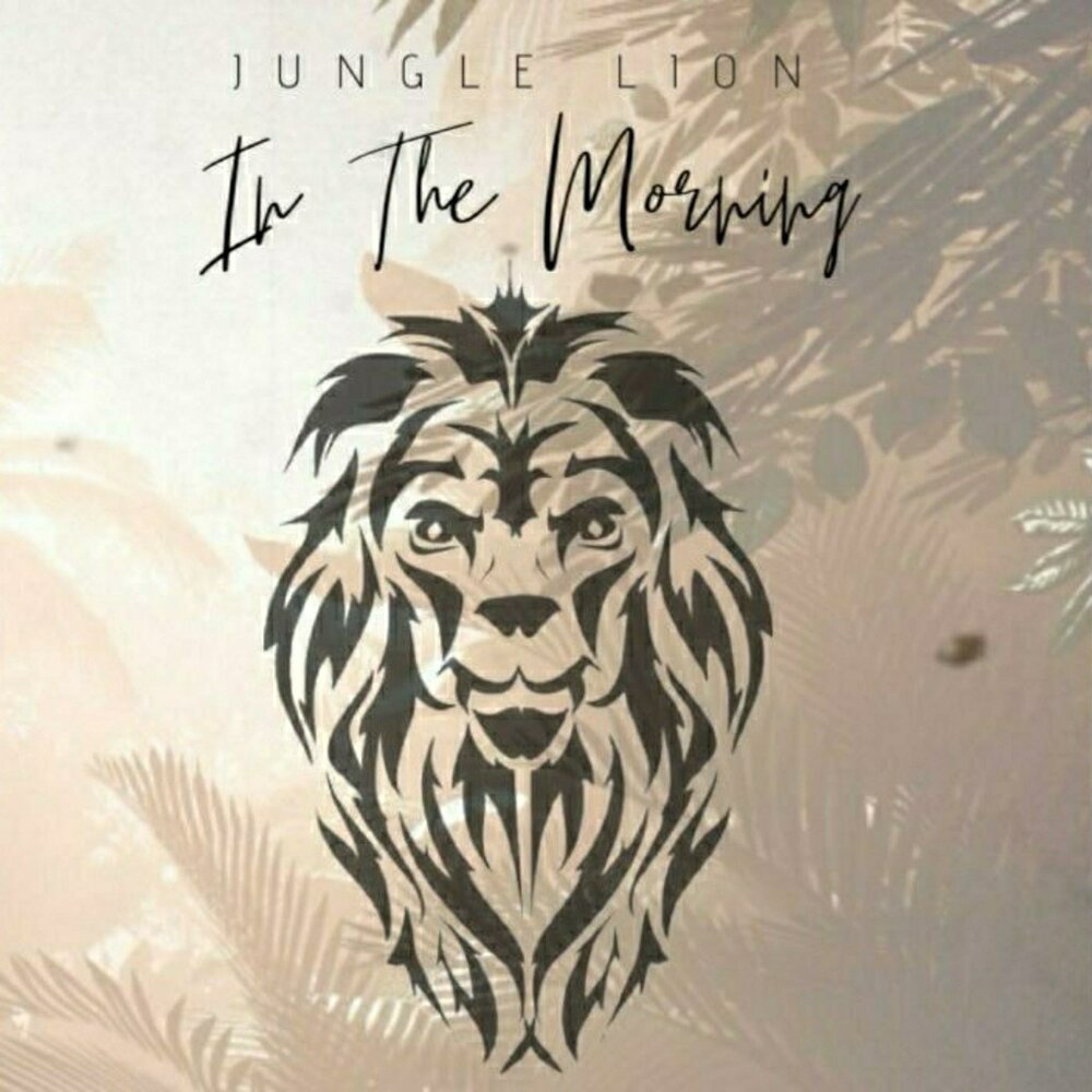 In the jungle lion