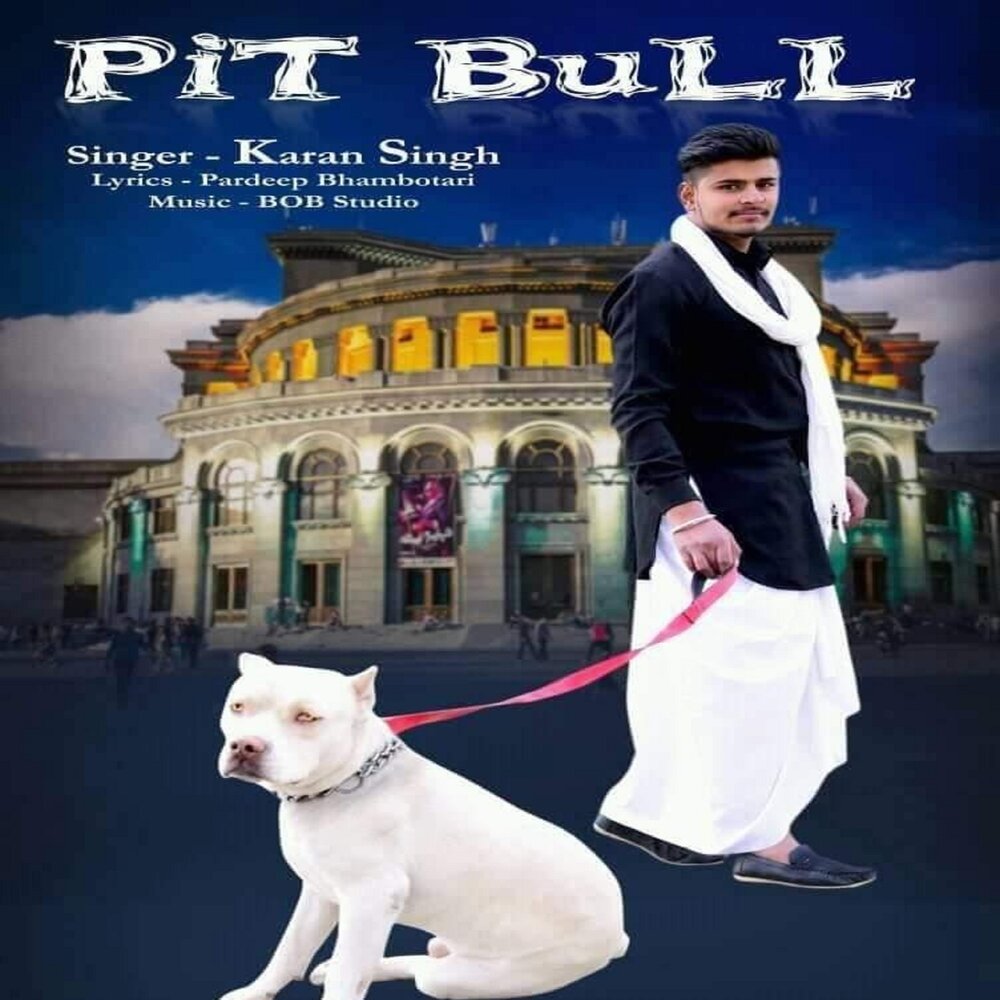 Pitbull альбомы. Питбуль песни. Популярные песни Pitbull.