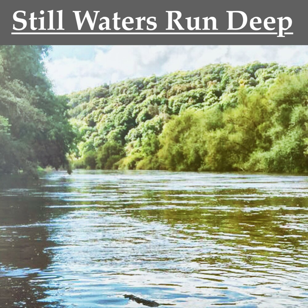 Still waters run deep. Still Waters Run Deep книга. Still Waters Run Deep Proverb. Still Waters Run Deep чья реплика.