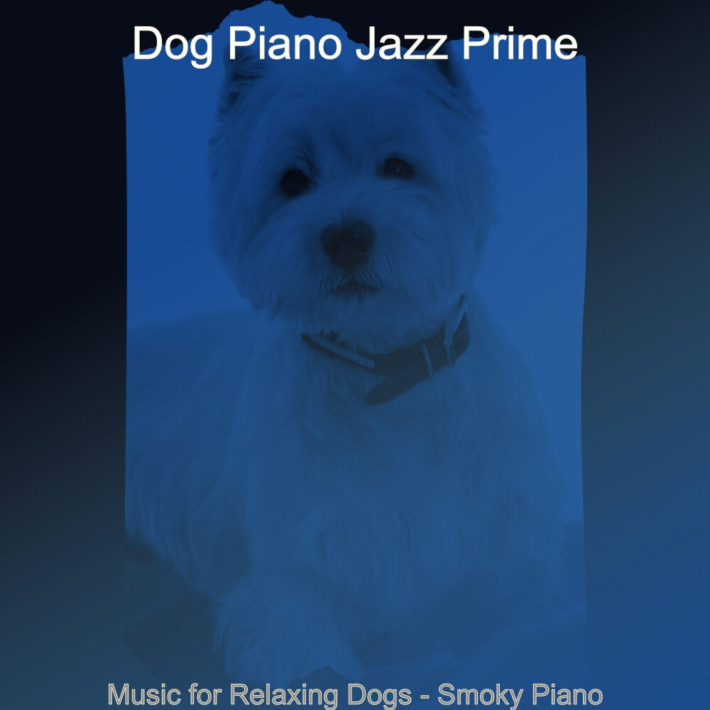 Dog piano