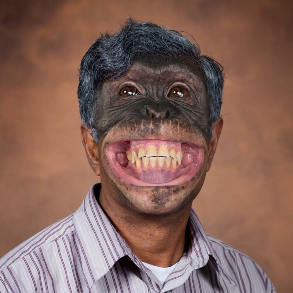 Что такое bababuj. Обезьяньи губы. Bababoey. Bababooey 2. Louis doux.