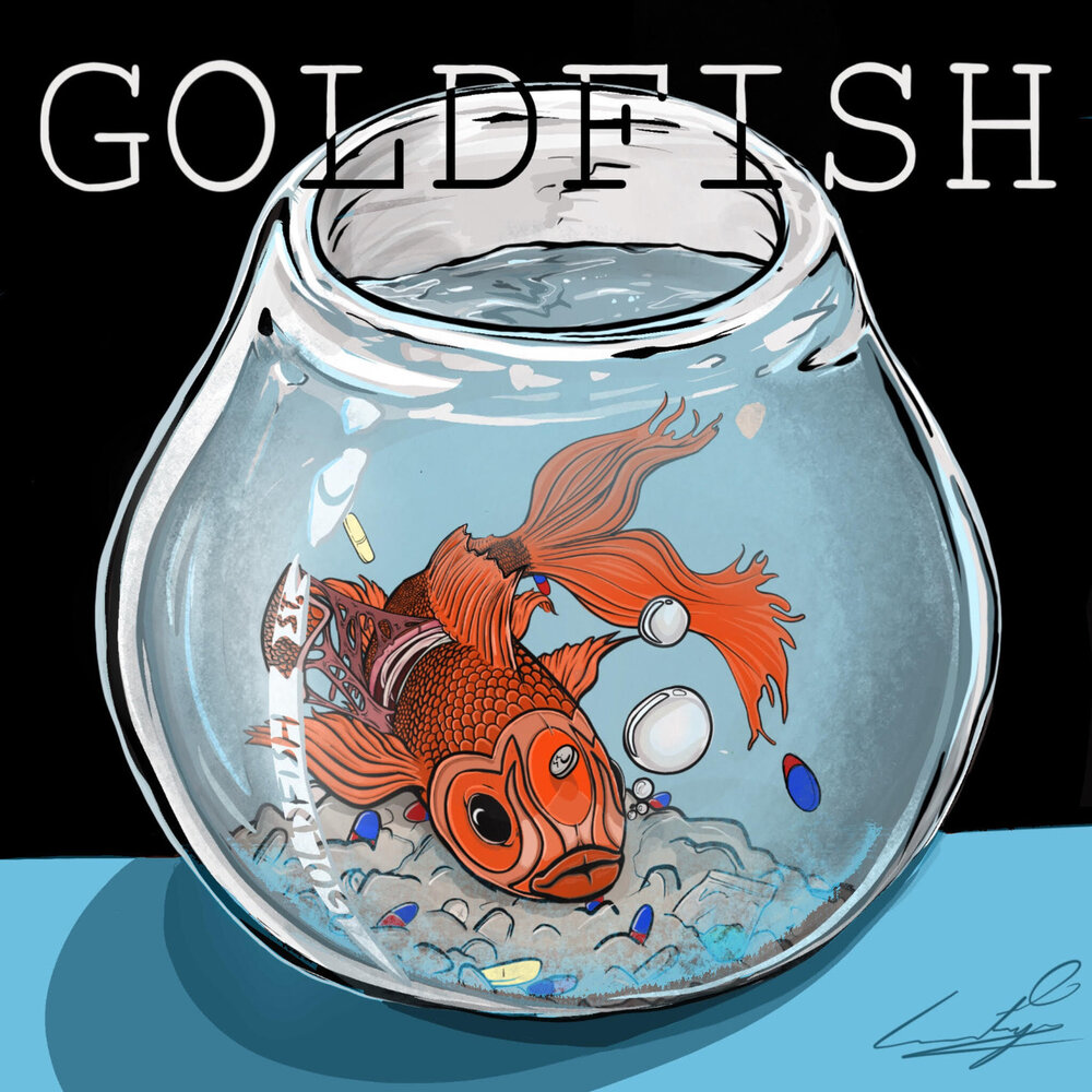 В продажу поступили золотые рыбки отзывы. В продажу поступили золотые рыбки. Phototaxis альбом Gold Fish. Золотая рыбка текст. Чем СЛУШАЮТ рыбы.