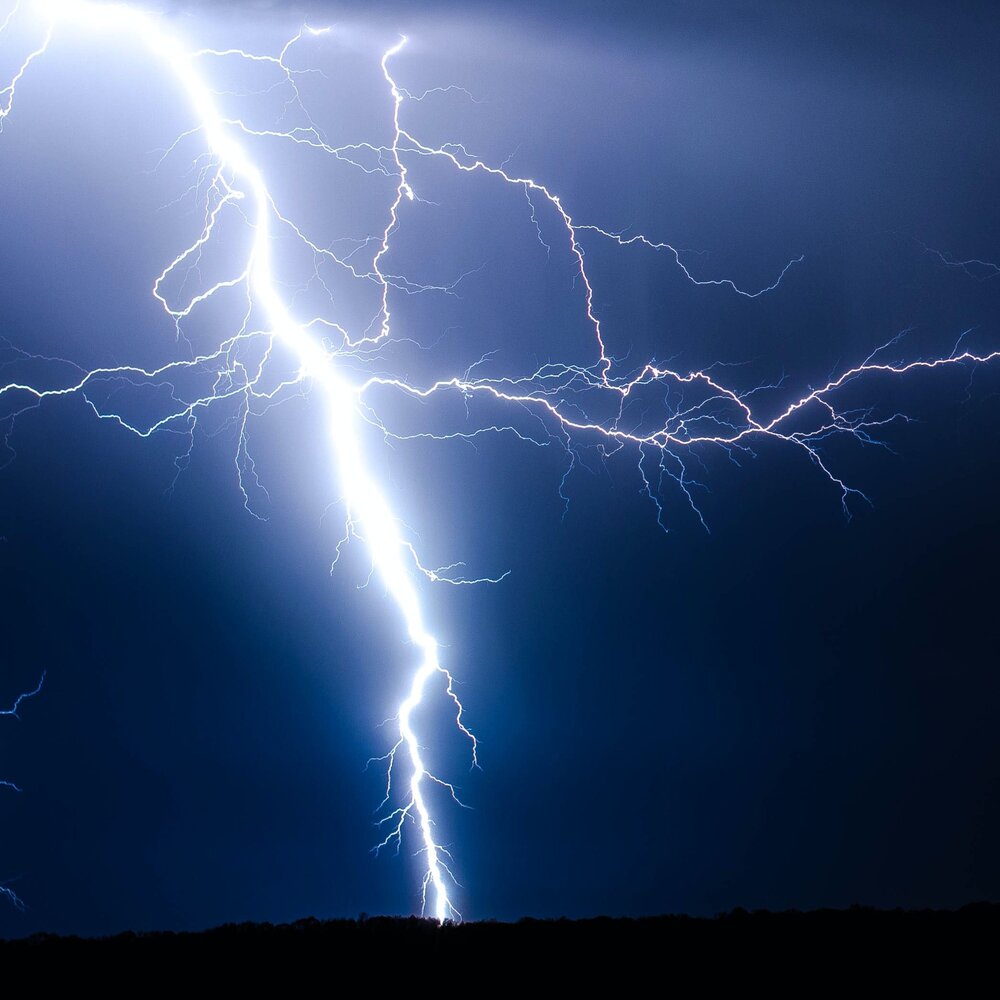 Are you coming to the three. цитаты про it. Are you coming to the three. картинки quotes and pictures. дерево из тик тока.