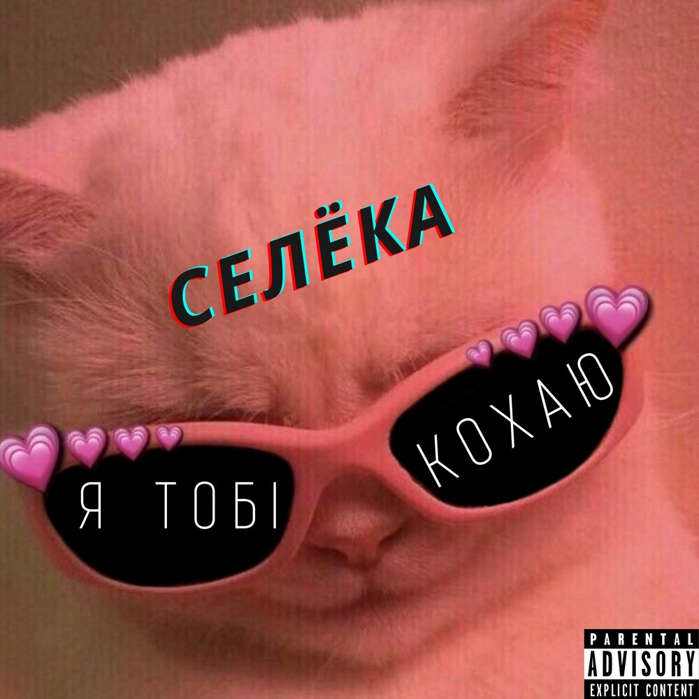 Я тоби кохаю песня. Я тобi кохаю селёка текст. Селёка.