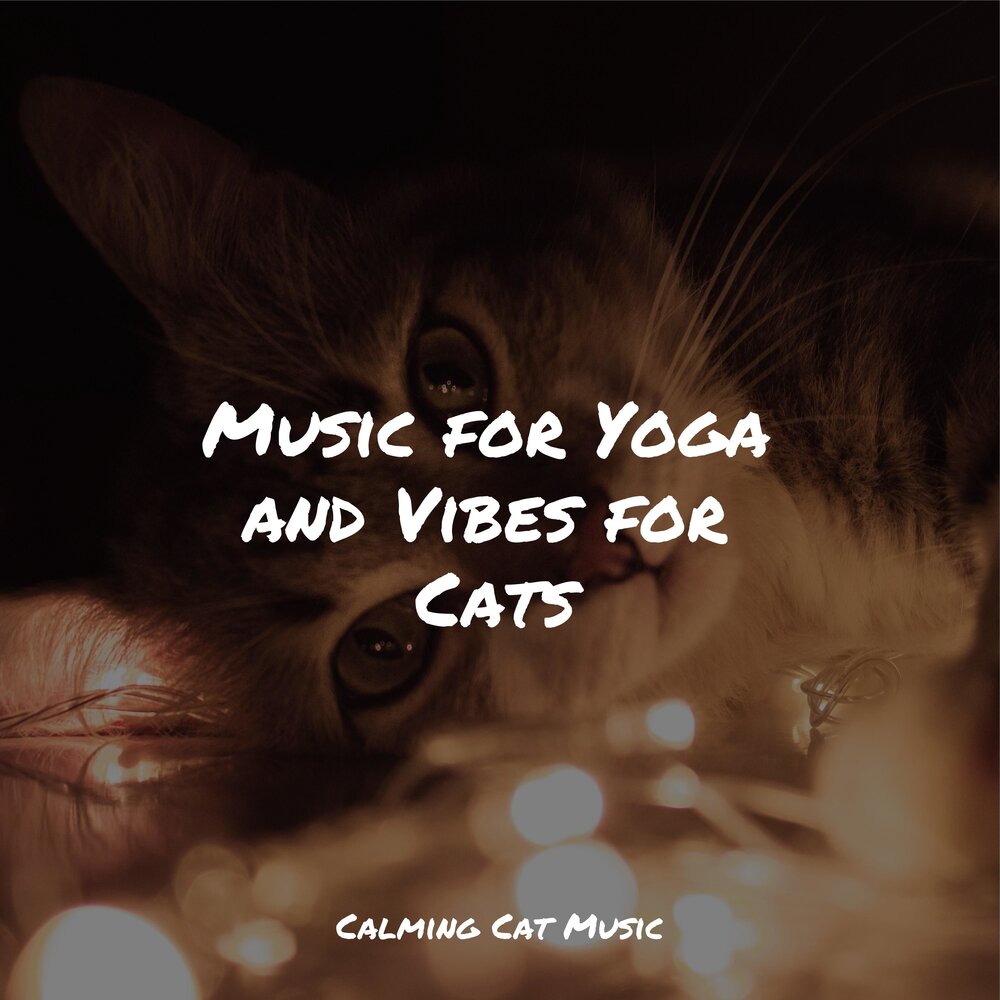 Music for cats. Cat Transcendence. Jazz Cats. Music Therapy for Cats.