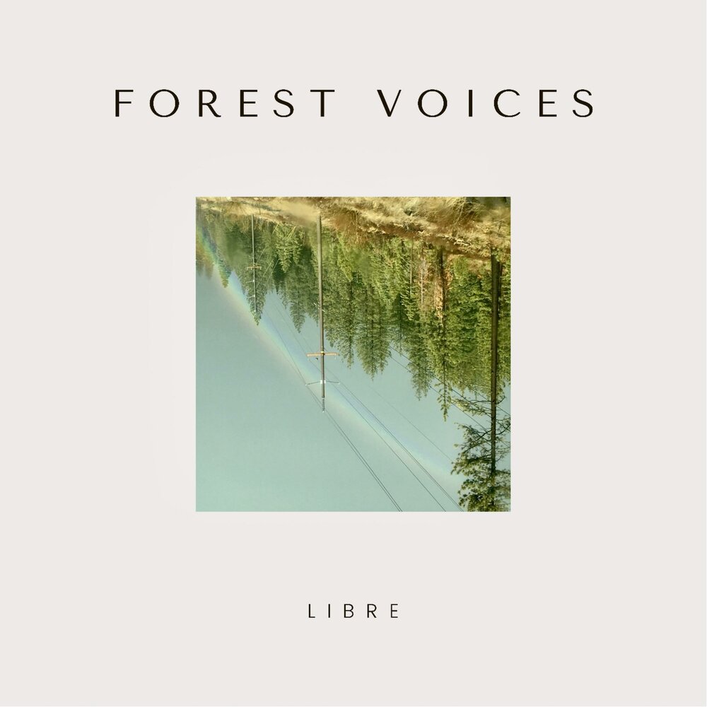 Forest voice