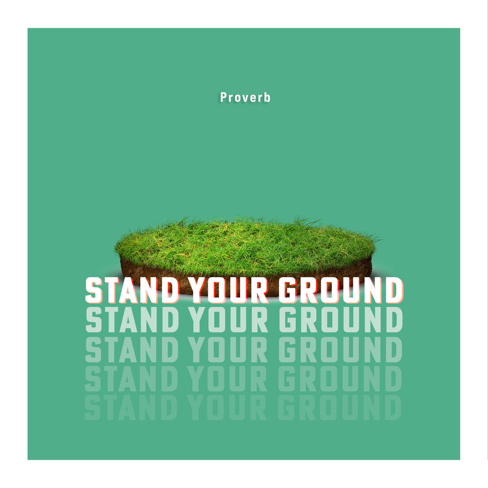 Stand your ground. Stand your ground перевод. Crawl on the ground Proverb.