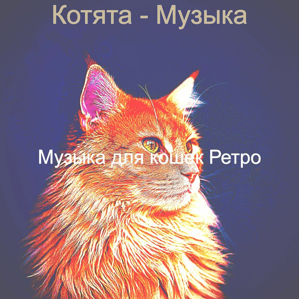 Песни про котят.