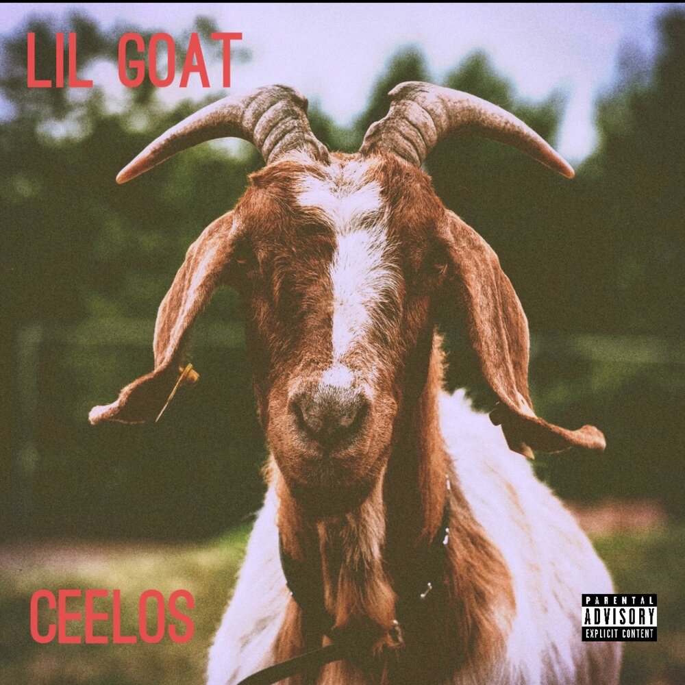 Lil goat