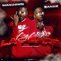 artist-cover