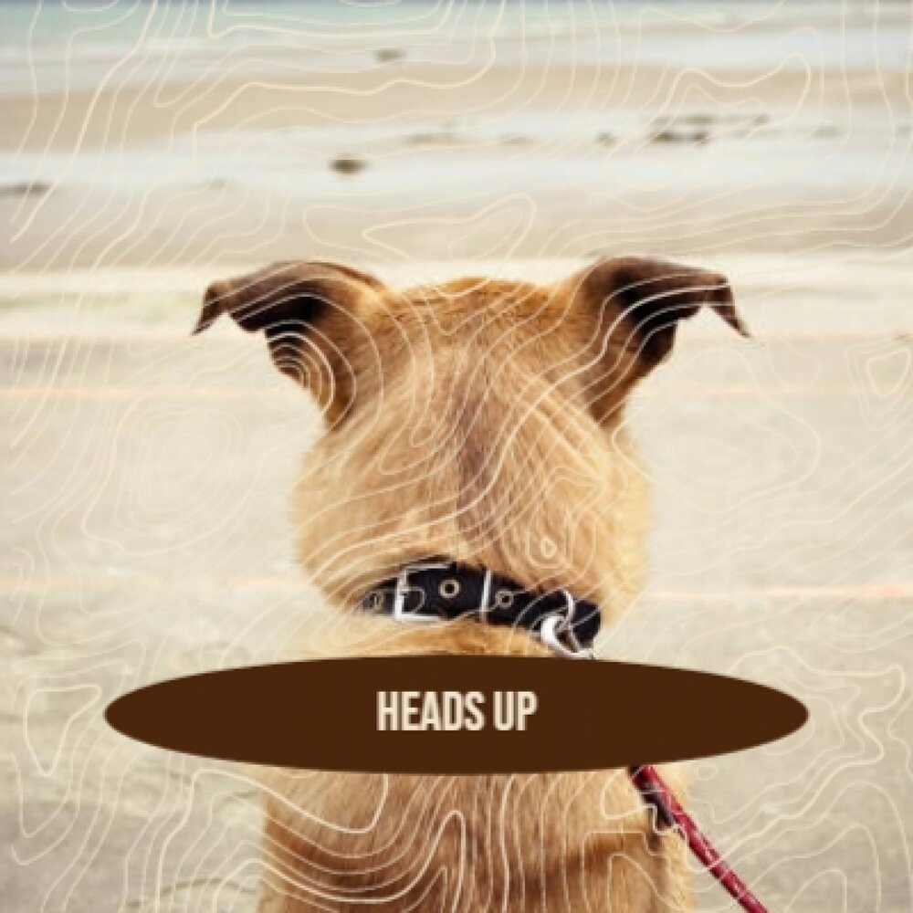 Fur dich. Король heads up. Rufus Dog.