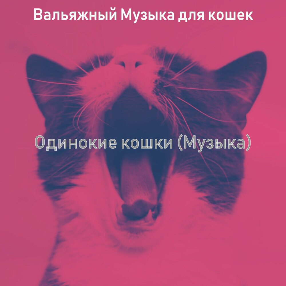Песни про кошек. Кошачья музыка для кошки слушать. Музыка для кошек. Кошачья музыка для кошки слушать. Кошка люкс.