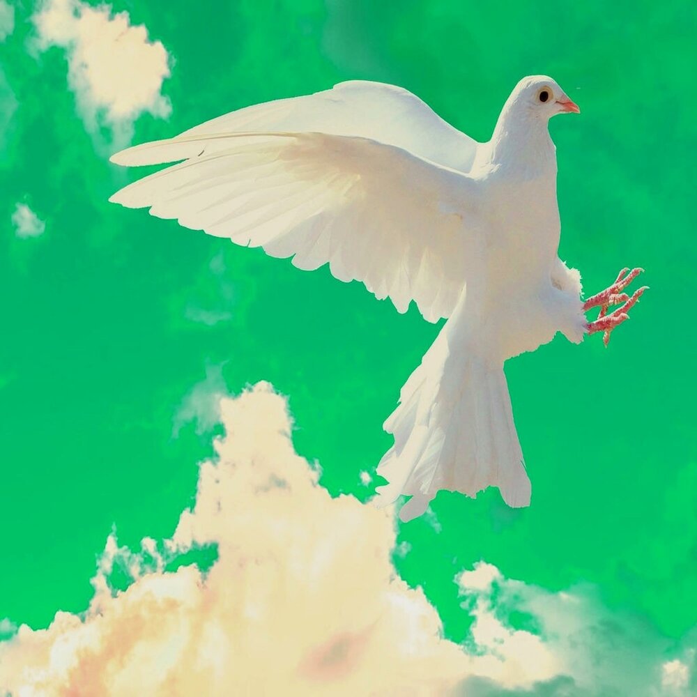 YandexMusic profile picture