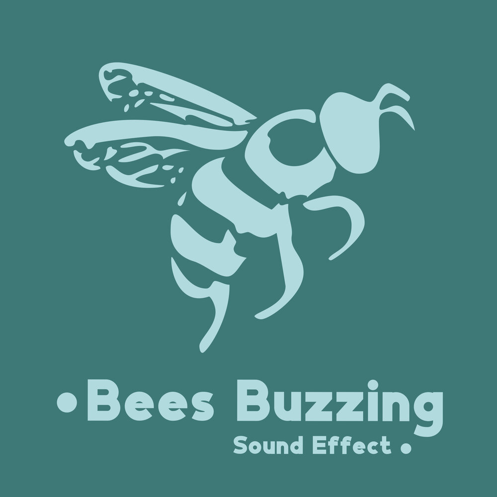 Звук пчелы слушать. Buzzing Sound. Buzz Bee. Звук Buzz. Noise Bee.