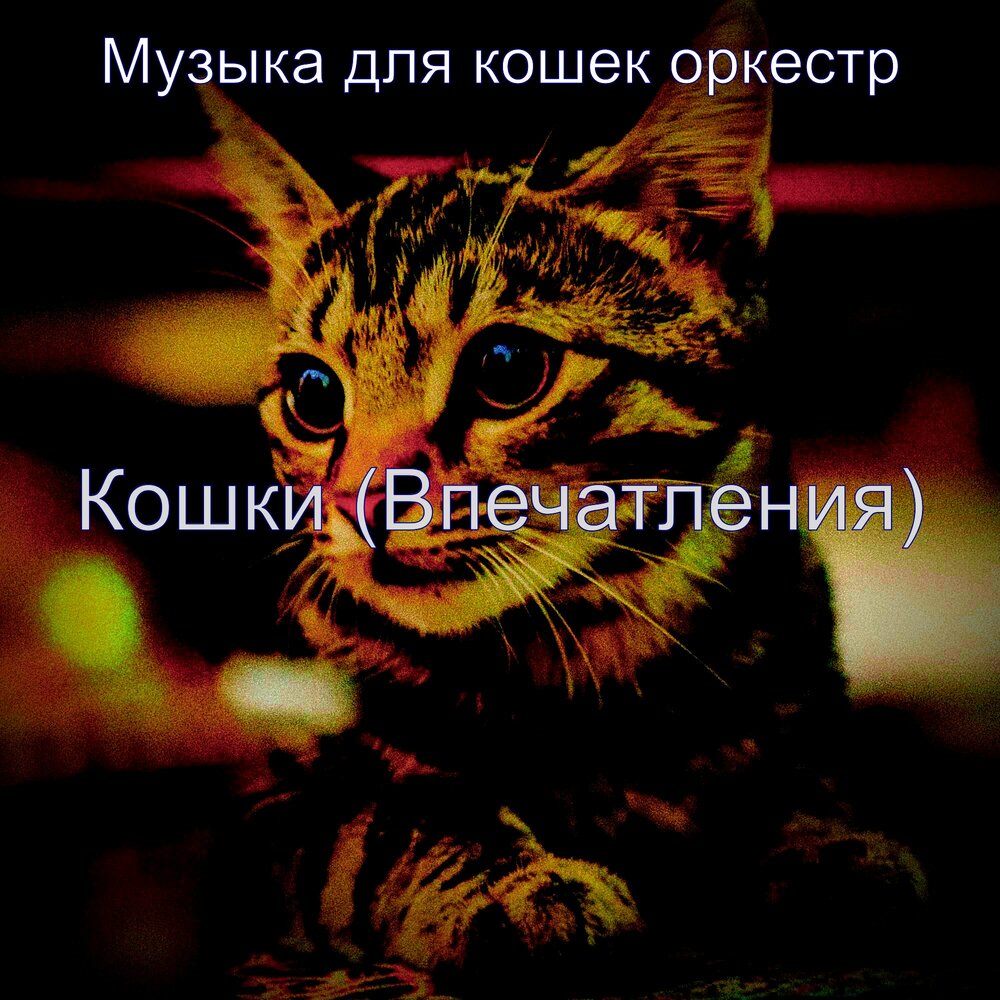 Кошачья музыка для кошки слушать. Музыка для кошек. Кошачья музыка для кошки слушать. Звук кошки. Cats песня.