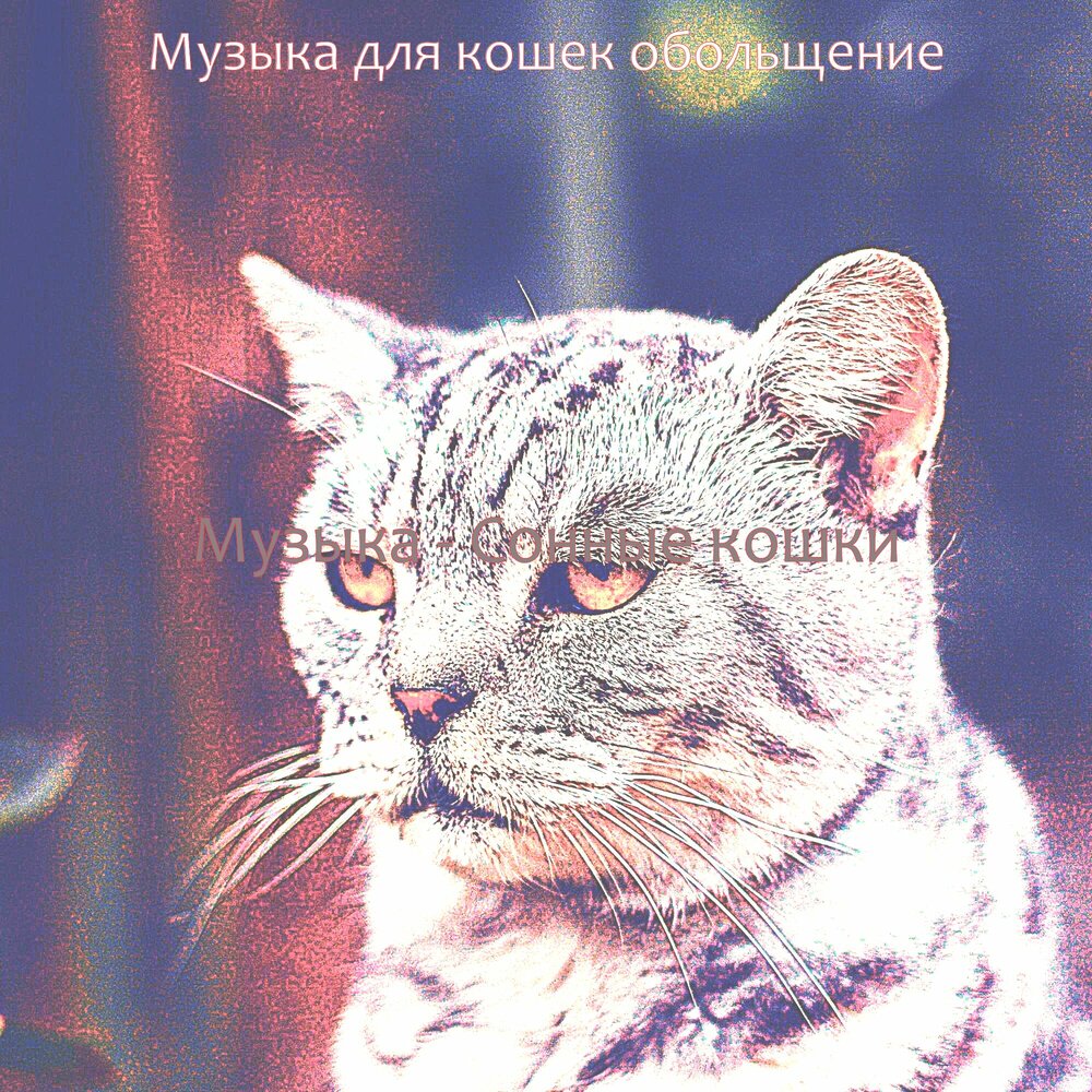 Музыка для кошек обольщение — слушать онлайн бесплатно на Яндекс Музыке в  хорошем качестве