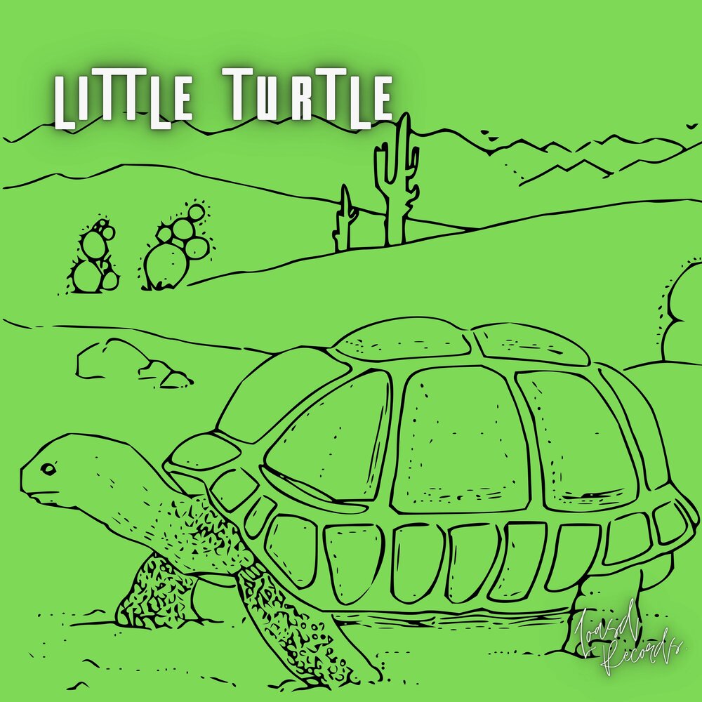 The turtles альбомы. уругвай черепаха. Parry gripp cd. черепаха слушать. черепаха слушать.