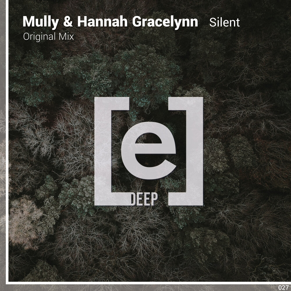 Silence original mix. Mullies.