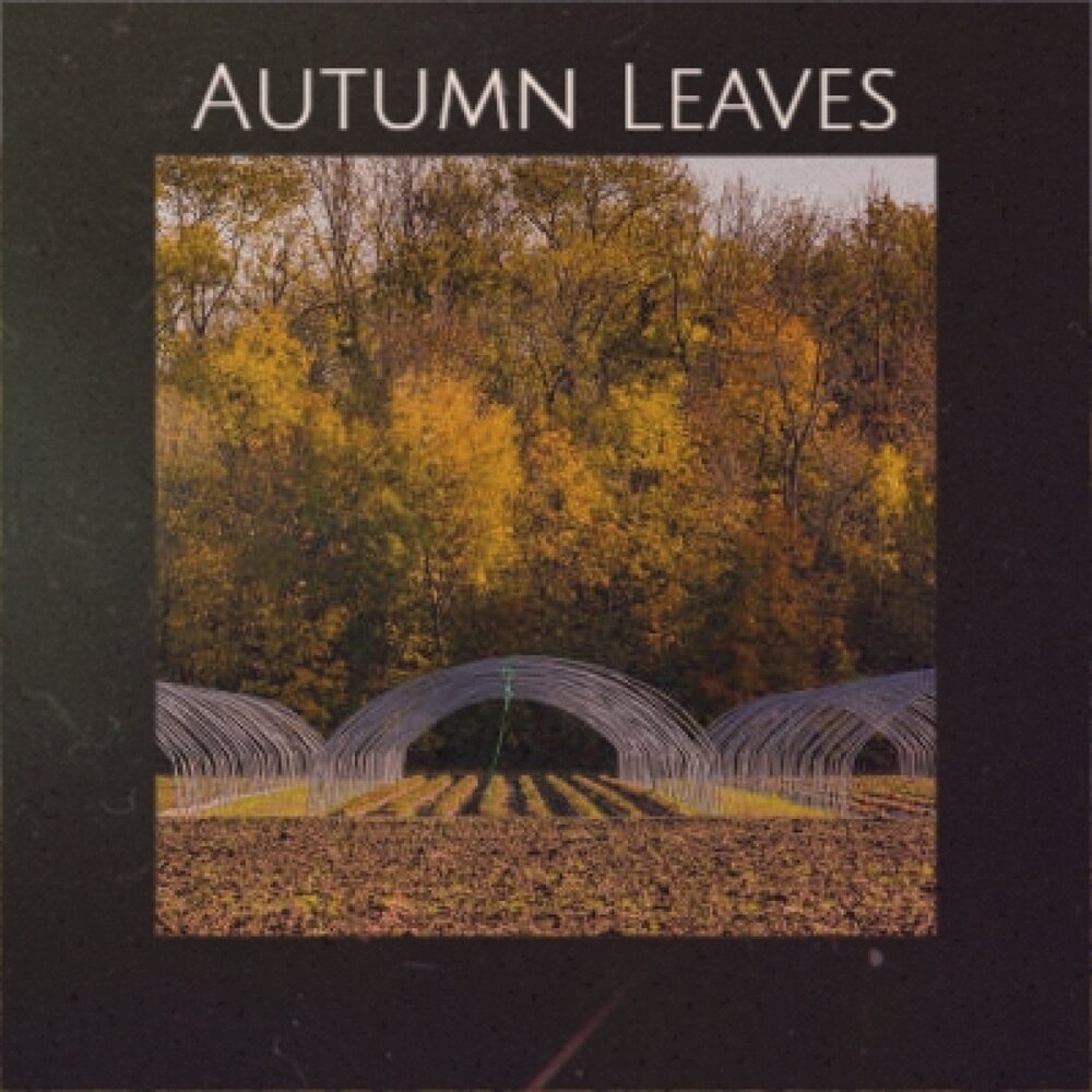 Leaves слушать