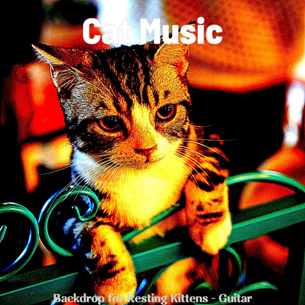Кэтс песня. Кэт Мьюзик. Вайб кошек. Кошка слушает джаз. Kitten with Guitar.