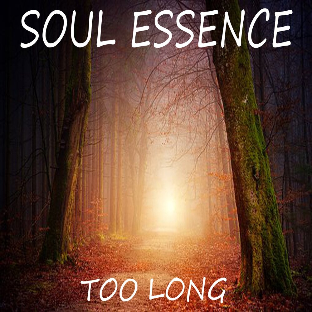 Soul essence