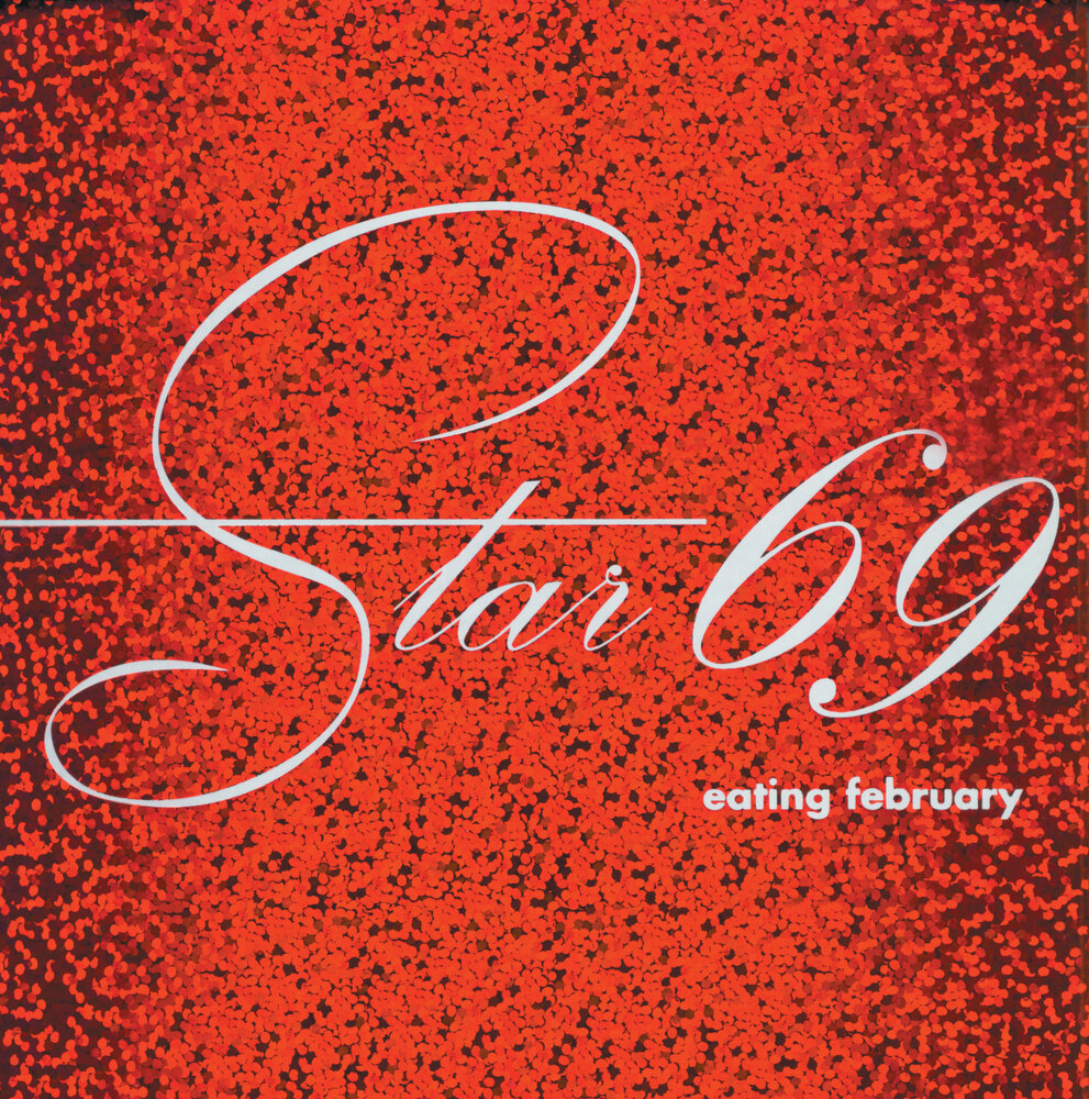 69 Обложка альбома. Альбом 69. Star 69. Трио 69
