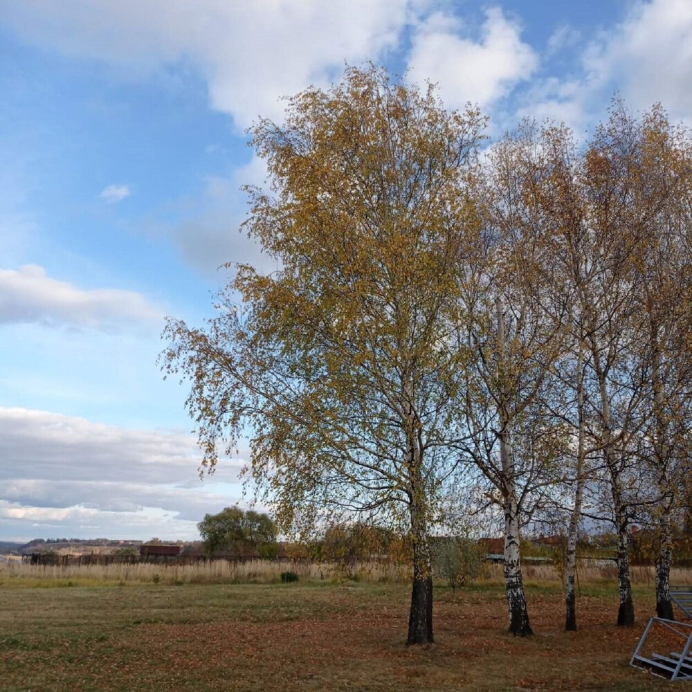 алина смирнягина россия родина моя. стих о родине с автором. гимн россии. песня большая братская земля. песня большая братская земля.
