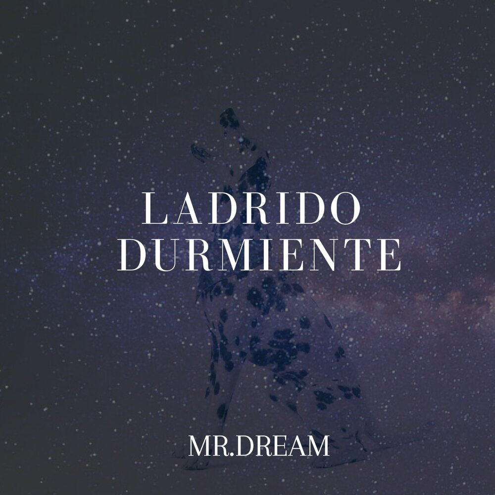 Mr dream