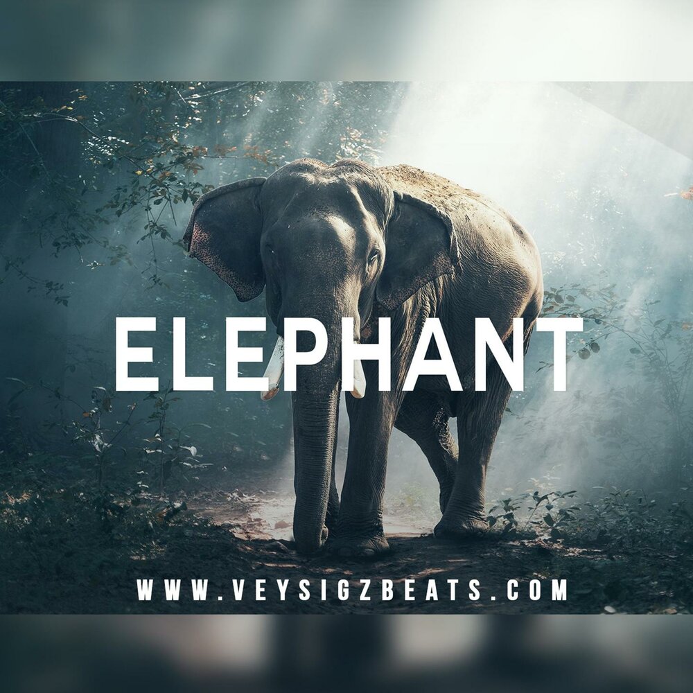 Elephant music. Слон альбом. Альбом слон рэп альбом. Elephant Rap. Слон по имени Бенджамин Постер.