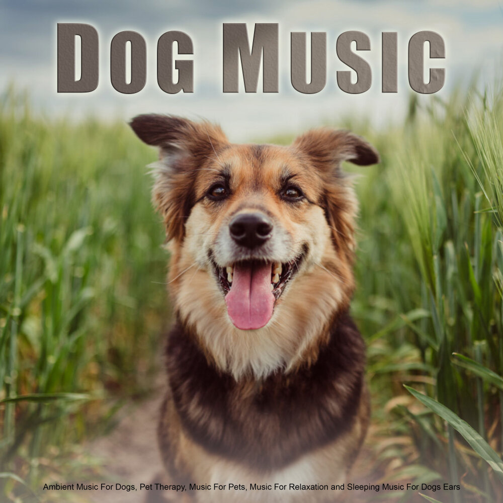 Dog music