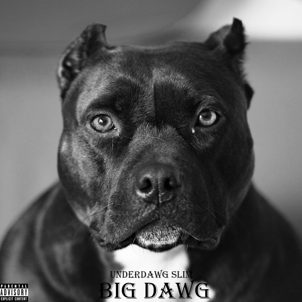 Big Dawg. Big Dawgs.