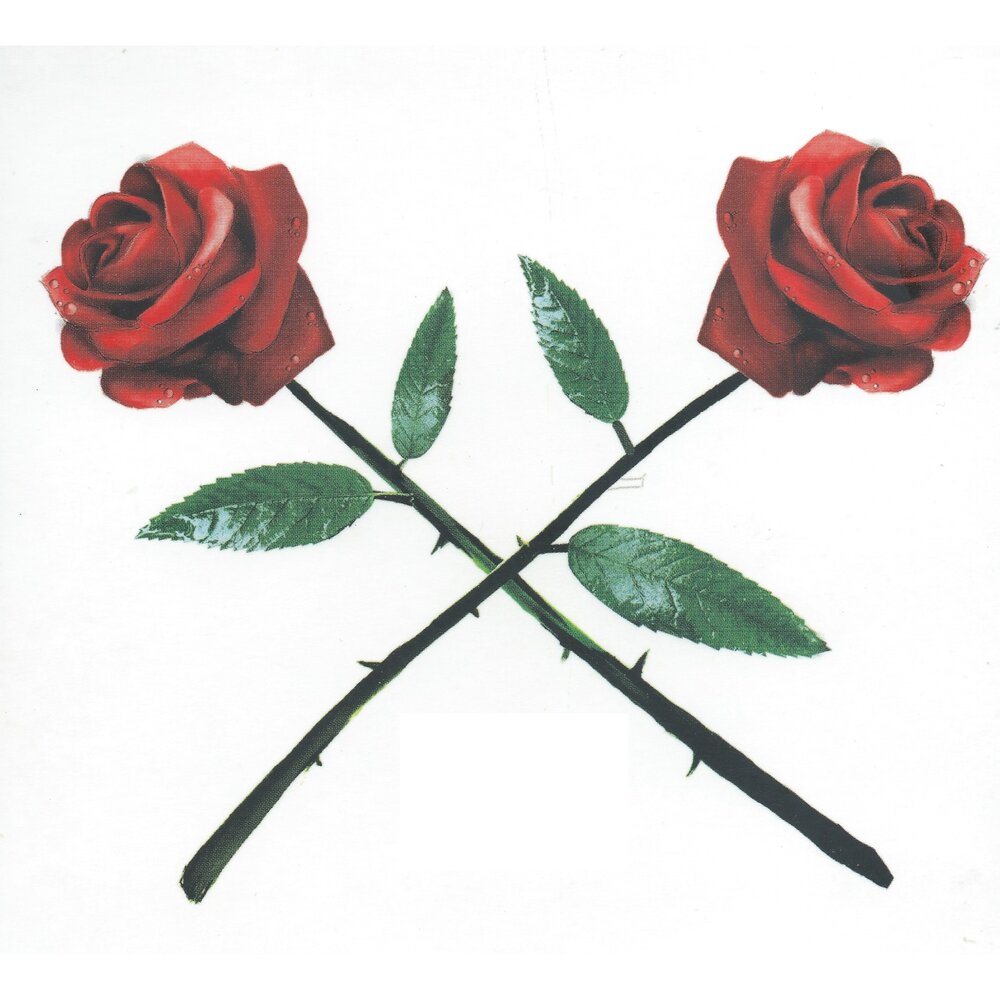 track-cover