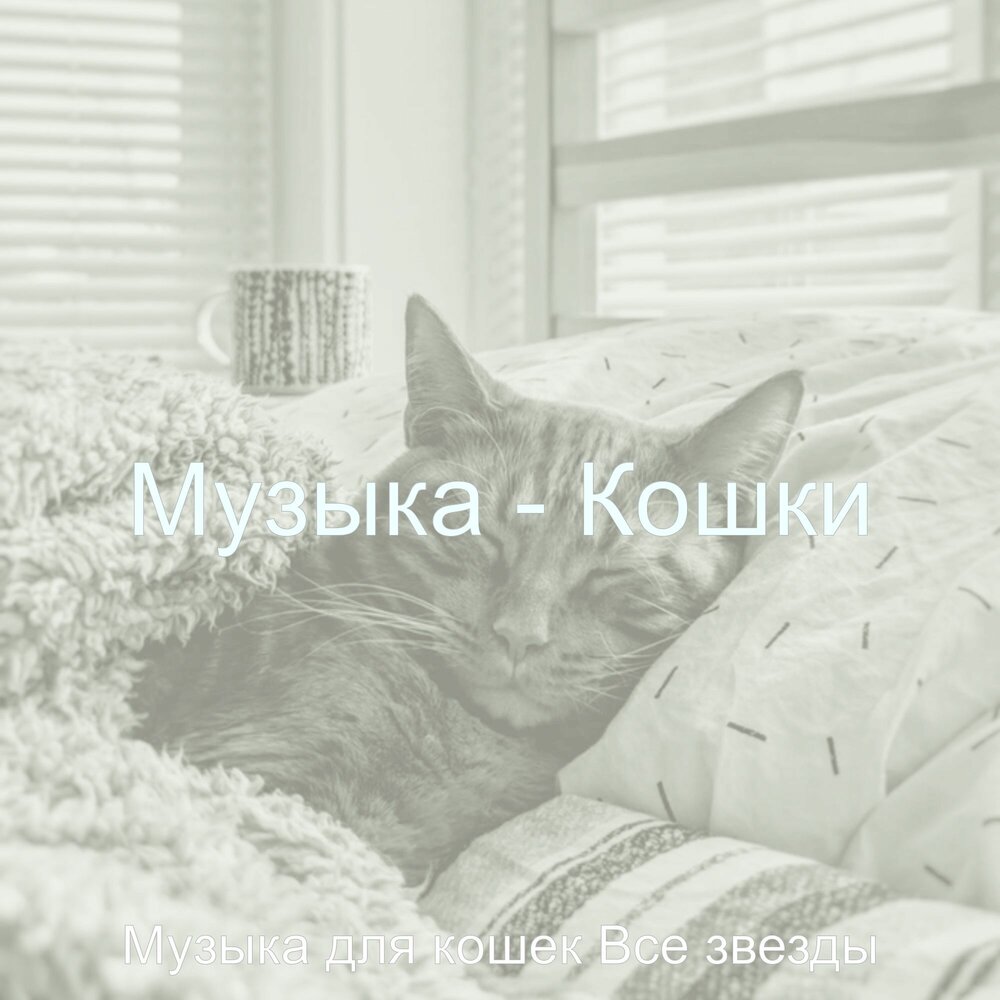 Звуки кошки слушать для кошки. Музыка музыка кошка моя. Музыка музыка кошка моя. Музыка музыка кошка моя. Музыка музыка кошка моя.